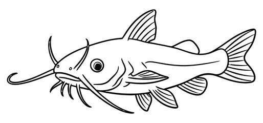 Catfish Line Art Illustration Simple Black and White Outline Drawing of a Freshwater Fish for Coloring Book or Logo Design