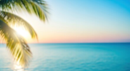 A blurred image of a palm tree leaf against a vibrant sunset sky with a calm ocean in the background.