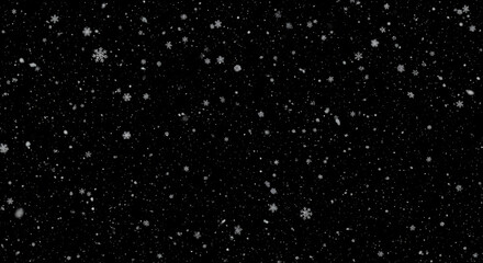 Scattered star-like white particles on a black background, creating a sparkling night-sky effect suitable for cosmic, magical, or glitter overlays.