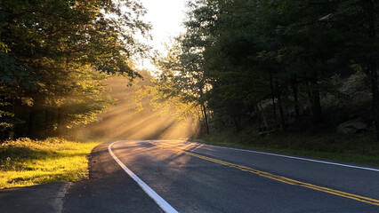 Fototapeta premium Idyllic Country Road through Sunlit Forest