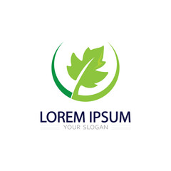 Organic Leaf Identity Mark Representing Clean Natural Freshness in Simple Vector Design