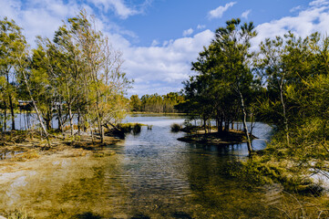Purry Burry jetty on Purry Burry Point. This jetty is the second longest on Lake Illawarra at 120 metres long