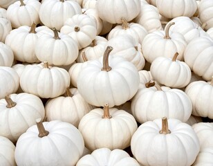 Group of white pumpkins with brown stems