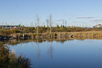 A new park in the city