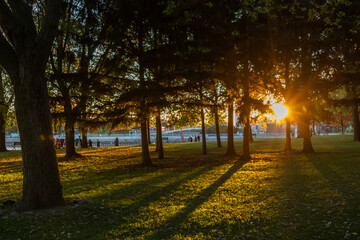 Fall is almost gone but colors are still here