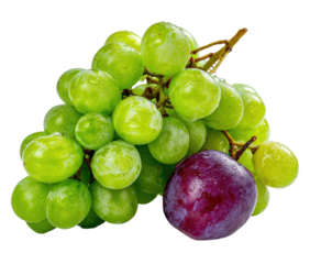 Bunched green and one purple grape cluster on black