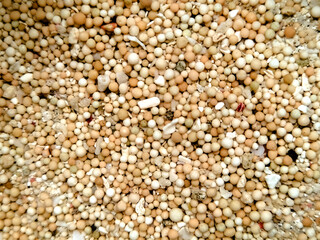 A close-up view of sand, featuring numerous small, rounded grains. 