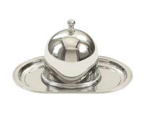 Elegant silver serving dish with dome lid on oval tray
