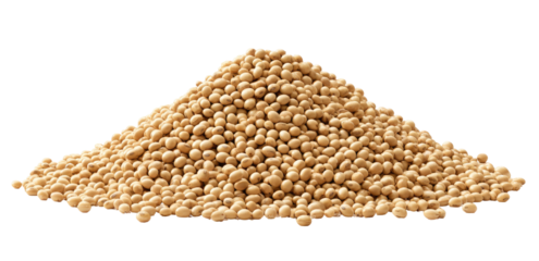 Small, round, beige granules piled high on a dark background