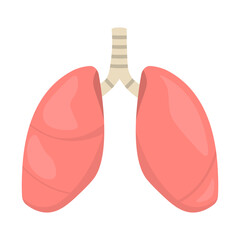 Isolated illustration of lung organ for advertising, banners, healthcare educational images about lung health in healthcare facilities.
