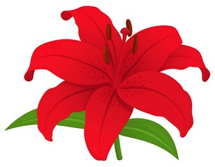 Vibrant cartoon illustration of a red lily flower and green leaves