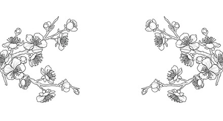 Decorative floral branches with delicate blossoms in a vintage sketched style creating ornate borders.