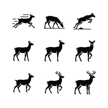 Black Silhouette Deer and Doe Icon Set in Various Standing and Running Poses
