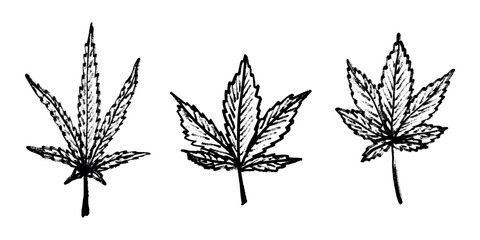 Set of hand drawn cannabis leaf Medicine marijuana Hemp leaves clipart in doodle style Single element for print, web, design, decor