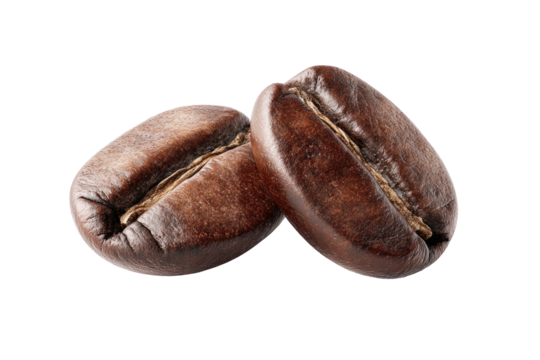 Close-up of two roasted coffee beans with rich brown color
