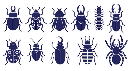 Fototapeta premium Vector insects beetles spiders centipede entomology graphic design