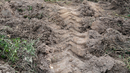 Agricultural soil conditioners. Deep Tractor Tire Track in Wet and uddy Soil.