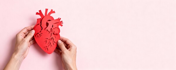 Hands holding a detailed red paper cutout of a human anatomical heart on a pastel pink background banner
