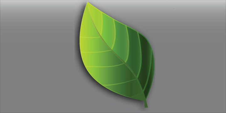Stylized vibrant green leaf with subtle shadow on a plain gray background.