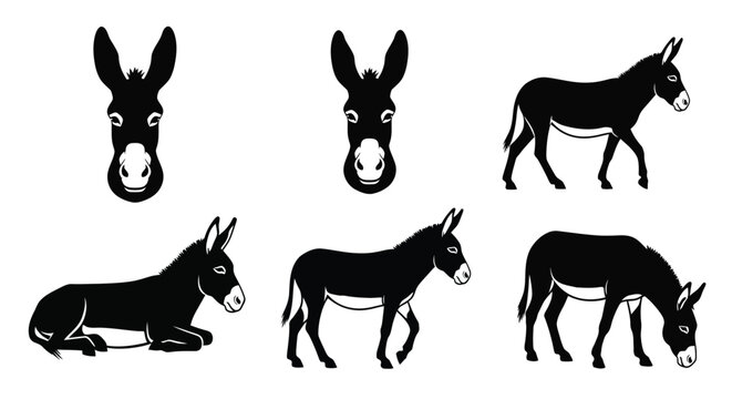 Black and white donkey silhouette vector art farm animal illustration
