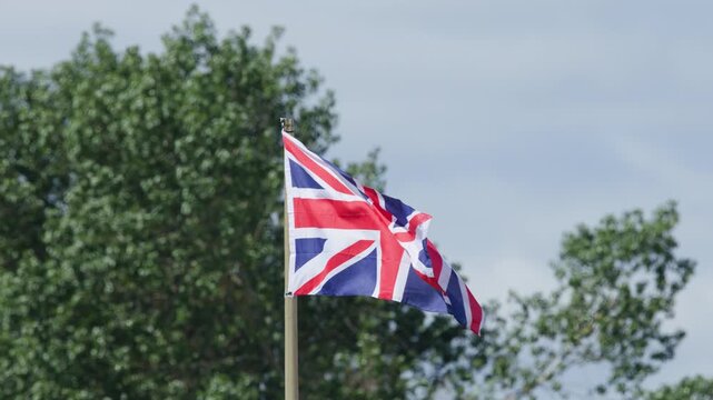 Union Flag Waving in Wind Against Green Trees in Cromarty