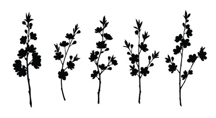 Set of sakura branch for spring season concept