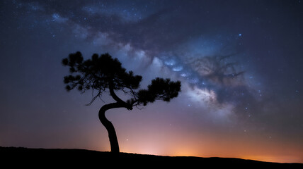 Silhouette of Twisted Tree Against Starry Night Sky and Milky Way Galaxy gnarled branches