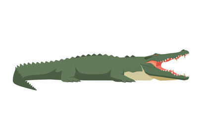 Obraz premium A green alligator with its mouth open showing sharp teeth and a pink tongue on a plain white background