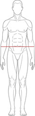 Male figure outline, vector illustration, muscular man, waist measurement, body size chart guide, hip line, fashion, clothing, tailoring, technical drawing.
