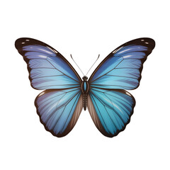 Fototapeta premium Beautiful iridescent blue butterfly with spread wings on black background