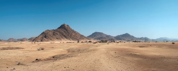 Wide desert plain with rugged rocky mountains, sparse vegetation, and a clear blue sky, creating a warm open landscape with ample space for text, ideal for nature themes, travel concepts, or design