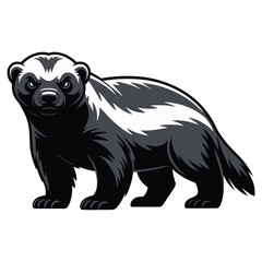 bear vector illustration