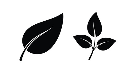 Simple black and white illustration of a single leaf and a sprig