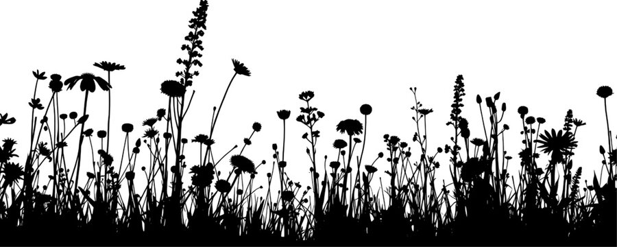 A stark black silhouette depicts a meadow filled with various wildflowers and grasses against a bright white background. The image emphasizes shape and form, creating a minimalist, natural scene.