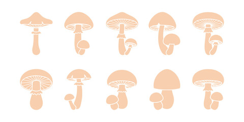 Mushroom icon collection

