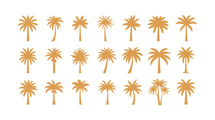 Palm tree graphics. Design features of palm trees

