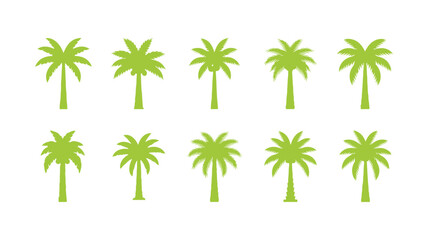 Palm tree symbols. Graphic elements featuring palm trees

