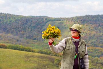 A beautiful mature woman holds a bouquet of medicinal St. John's wort herbs against the backdrop of the Ural Mountains on a summer day