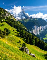 Naklejka premium Sunny mountain slope vista with a prominent, snow-capped peak