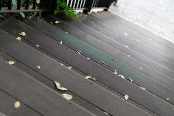 the road in the park