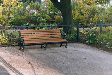 bench in the park