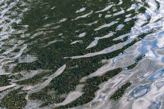 water in the forest