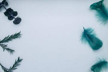 white feather on black background