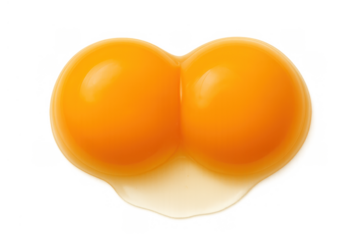 Two raw egg yolks connected, forming a double yolk with clear albumen, representing natural food and protein