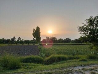 rural landscape with a train