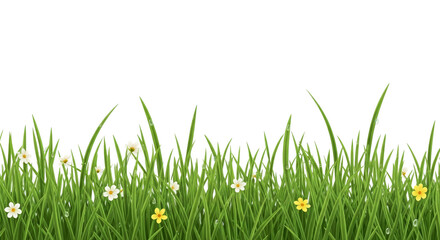 Fototapeta premium Lush Green Grass Border With Flowers and Water Droplets Transparent Background Design Element