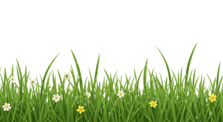 Lush Green Grass Border With Flowers and Water Droplets Transparent Background Design Element