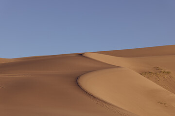 Abstract Sand Ripples at Great Sand Dunes, Colorado