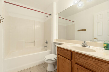 A bathroom featuring a sink, toilet, bathtub, and a mirror for use