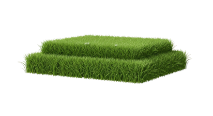 Realistic Green Grass Patch Isolated on Transparent Background With Water Drops Overlay